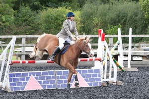 Class 7 - Fences 3' to 3'3